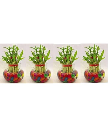 Green plant indoor - Green Wild Artificial Flowers With Pot ( Pack of 4 )