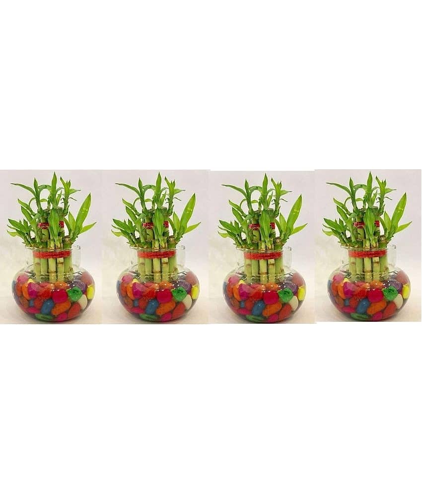 Green plant indoor - Green Wild Artificial Flowers With Pot ( Pack of 4 )