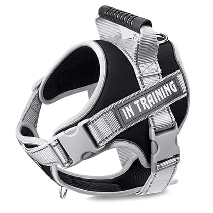 BlingPets Dog Harness Adjustable Dog Body Belt for Large Dogs with Copybook Dog Vest (Black, XL)