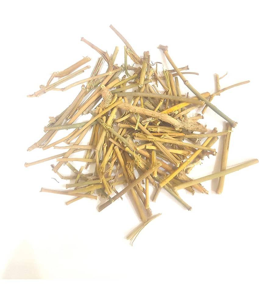 Nutrixia Food Somlata Somlata –  सोमलता Raw Herbs 100 gm