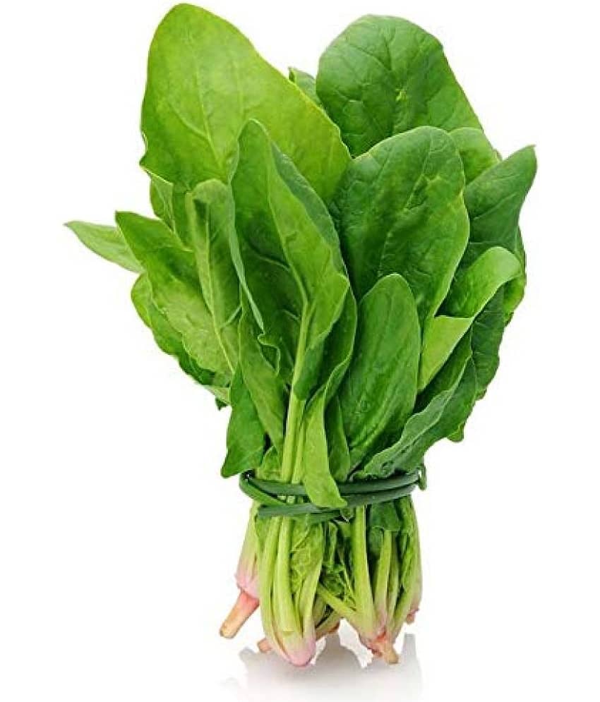 saraswati garden Spinach (Palak) Vegetables - 100 Seeds Pack