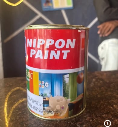 Paint