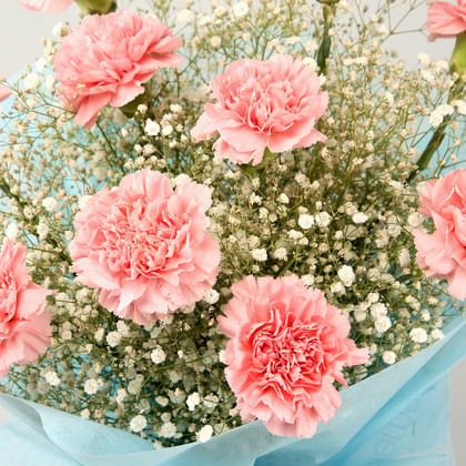 Dazzle With Simplicity Carnations Bouquet For Valentine's Day Gift Dazzle With Simplicity Carnations Bouquet For Valentine's Day Gift