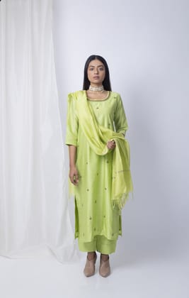 Pistachia Embroidered kurta set-S