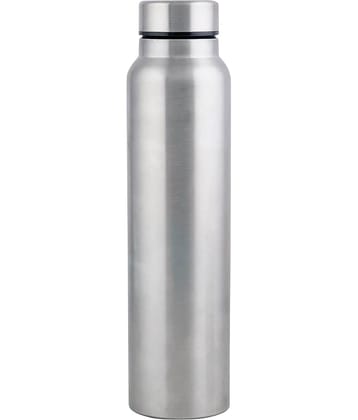 PearlPet F10 Silver Water Bottle 1000 mL ( )