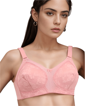 Triumph 20|319 Doreen Minimizer Full Figure Support Non Padded Non Wired Bra-2 | 319-Rosebloom / 34C