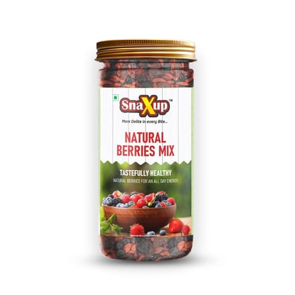 SnaXup Natural Berries Mix 225Gm