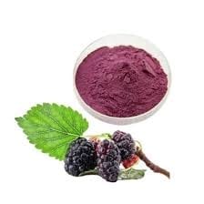 Dehydrated Mulberry Powder
