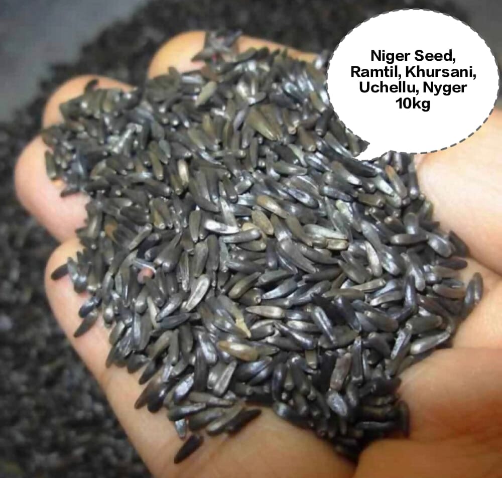 Niger Seed, Ramtil, Khursani, Uchellu, Nyger 10kg