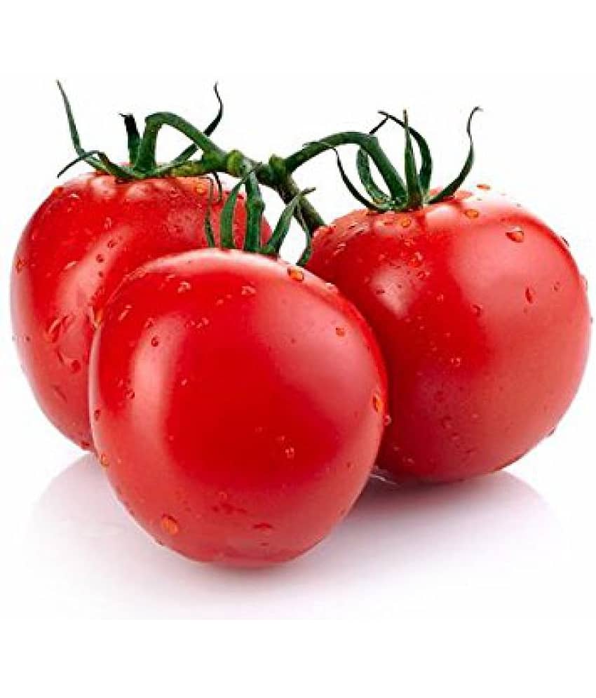 F1 HYBRID INDIAN TOMATO 100 SEEDS