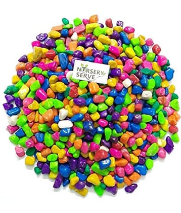 Somil Multicolor Pabbles/Stone For Garden, Plants, Aquarium & Home Decor Wt. 450g