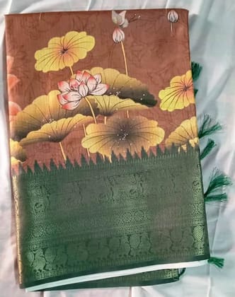 Elegant Dolo Silk Saree