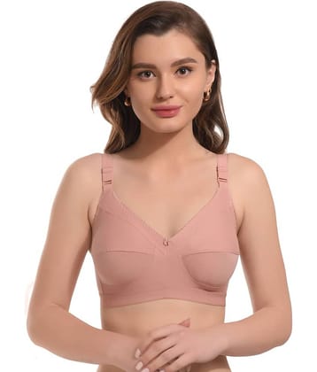 Elina Cotton Women's Minimizer Bra ( Grey Melange ) DOVE-GREY