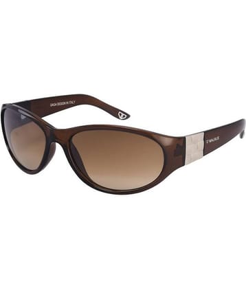 Walrus - Brown Square Sunglasses ( WS-VCT-III-090909 )