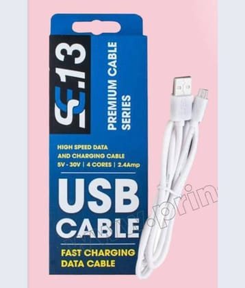 SE13 Type C Cable White - 1 Meter