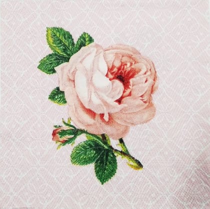 Decoupage Napkin / Tissue papers - GT1511