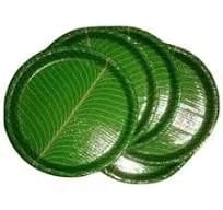 PAPER PLATS: Round Disposable Plates for Every Occasion