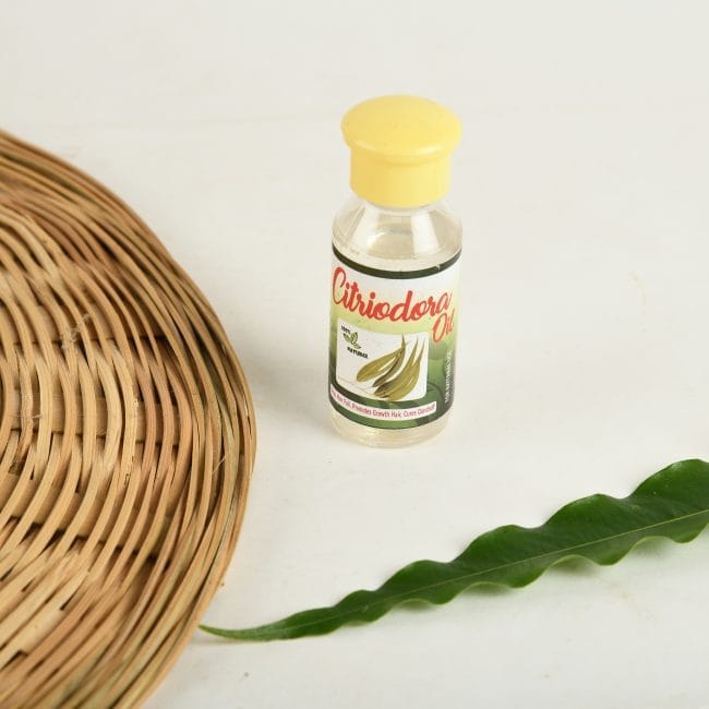 Citriodora || Essential Oil 50 ml (1TORSPSKA00239)