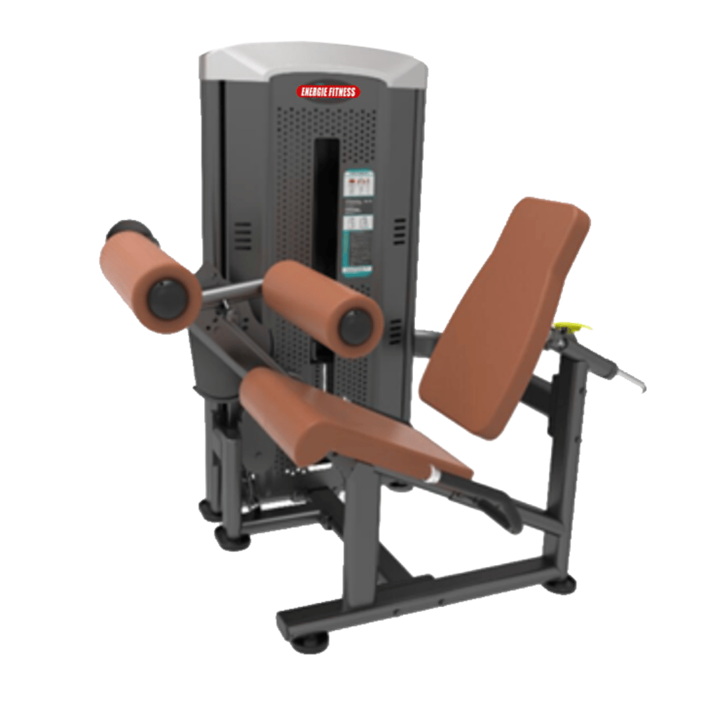 Best Leg Curl & Leg Extension EMT-1314