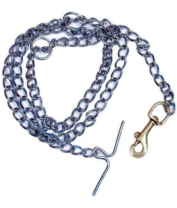 Tame Love - Silver Dog Chain (Small)