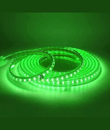 ZESTRUM Green 5M LED Strip ( Pack of 1 )