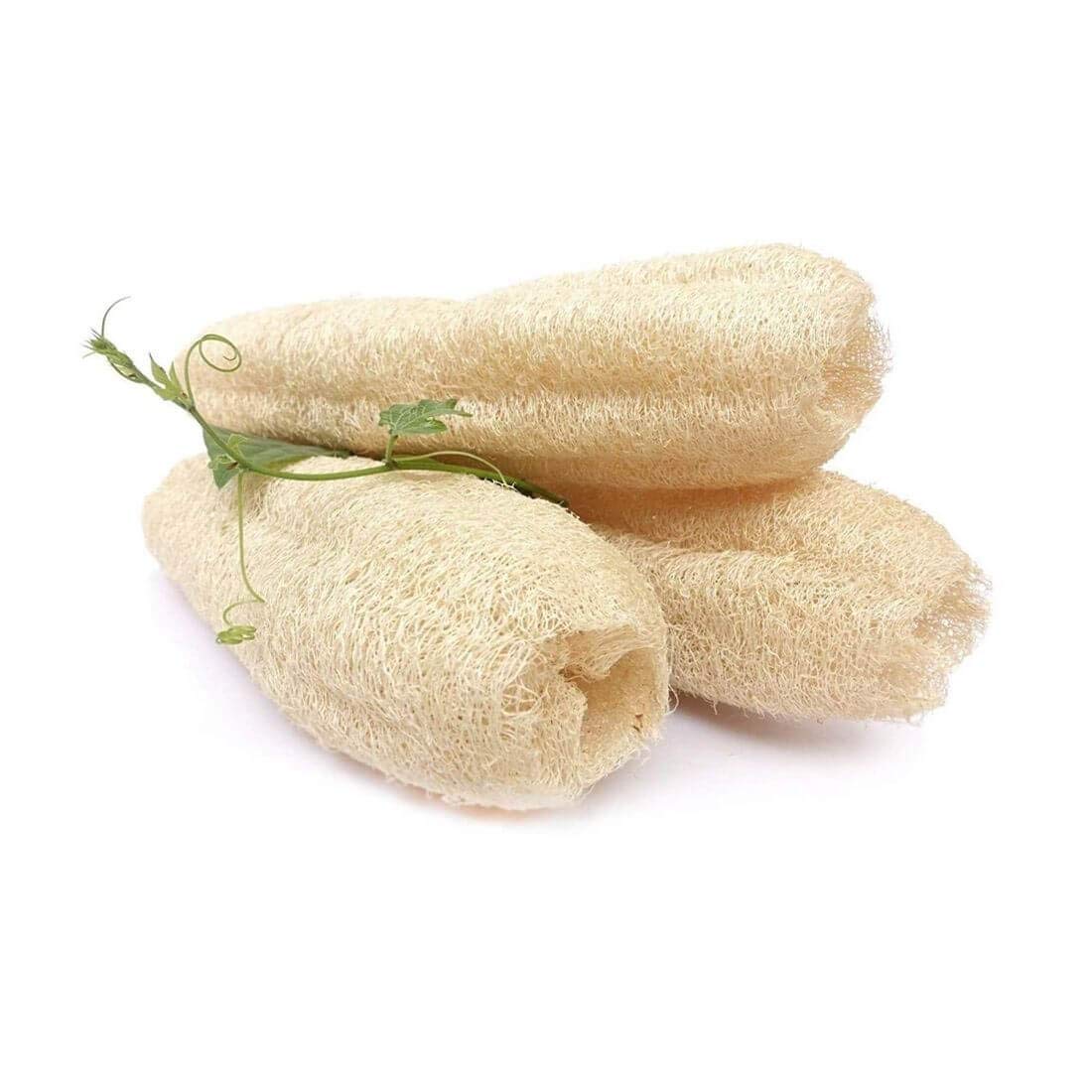 MAYAPURI Natural Organic Body Scrubber Loufah Sponges for Bathing (Pack of 4)