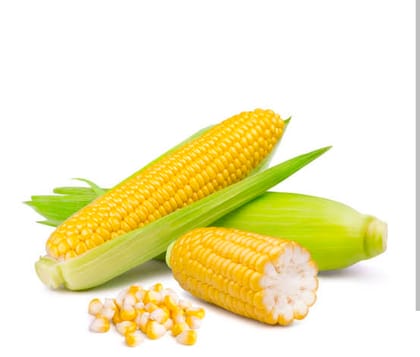 Corn