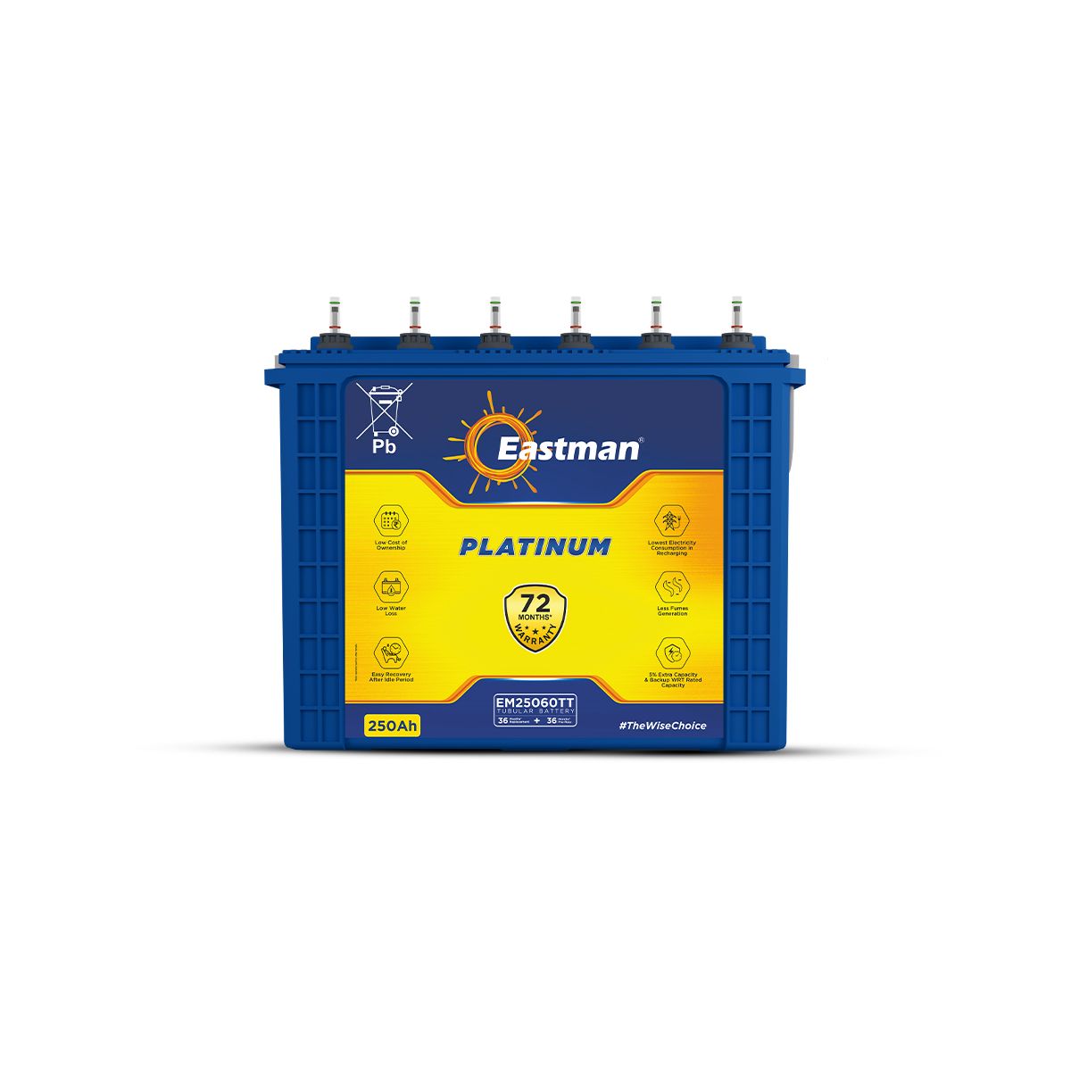 Eastman EM25060TT | Tall Tubular | 250 AH Inverter Battery |Warranty 72 (36+36) Months for Home & Office
