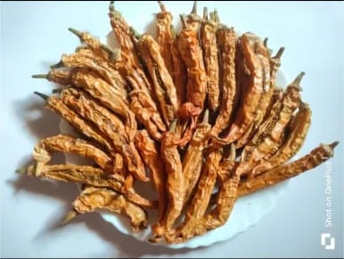 Sandhgi Mirchi