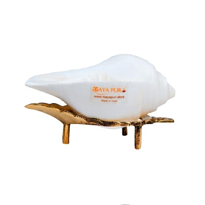 MAYAPURI Authentic Jal Shankh (Pani Shankha) with Brass Stand for Pooja Abhishekam