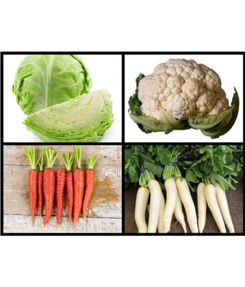 Super Saver Combo of 4 Hybrid Vegetables (Cabbage, Cauliflower, White Radish & Red Carrot) F1 HYBRID