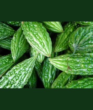 homeagro - Bitter Gourd Vegetable ( 20 Seeds )