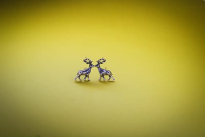 Stunning Earrings for Every Occasion
