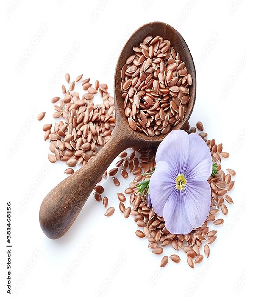 MYGODGIFT Flax Seeds | Alsi Seeds For Eating | Flax Seeds For Weight Management 400 gm