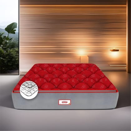 COIRFIT LUXURINO Pillow Top with ISPT Tech. 5 inch Queen Bonnell Spring Mattress (L X W: 72 inch X 60 inch)