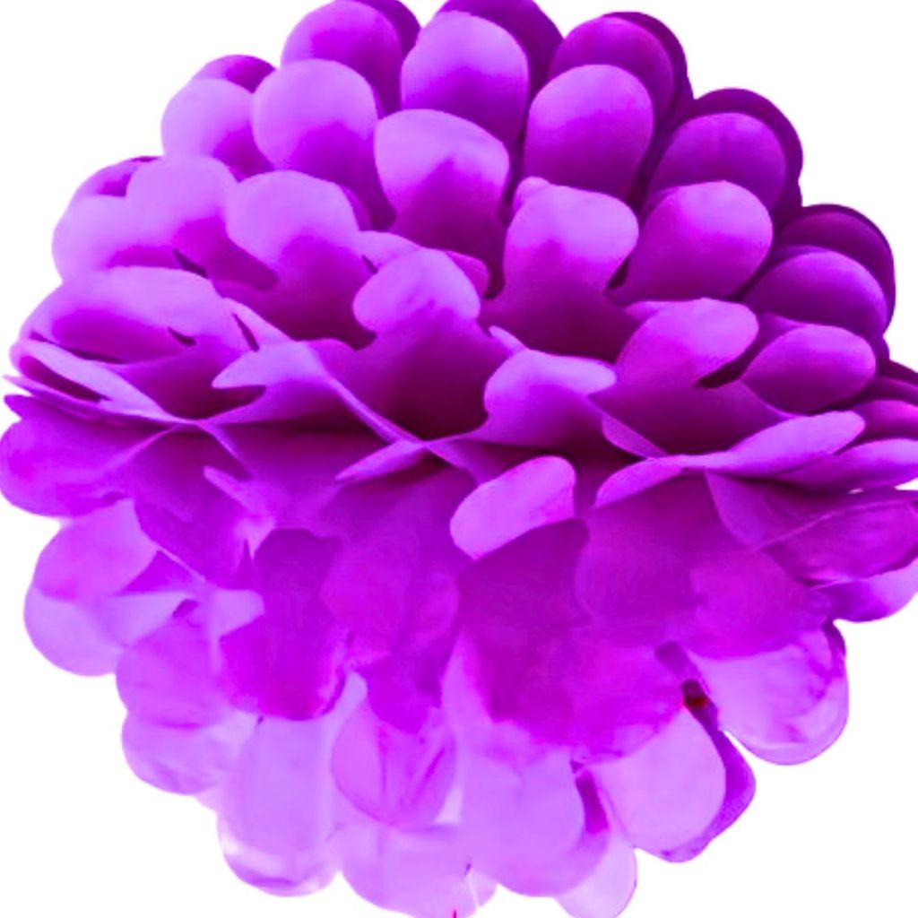 Purple Paper Pom Pom Hangings For Wall Decor -10 Inch -  5PC - Party and Festive Needs | Buy online on ZillyBuy