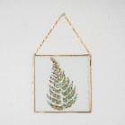 Dancing Girl Pressed Gerbera Frame  Handmade Botanical Wall Art & Unique Gift