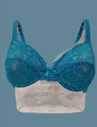 Enamor Womens Non Padded Non-wired High Coverage Bridal Bra DU75 Peacock-DU75 RB / Peacock / 32B
