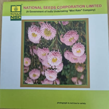 NSC Aster Pink Mix Flower Seed, 2 gm