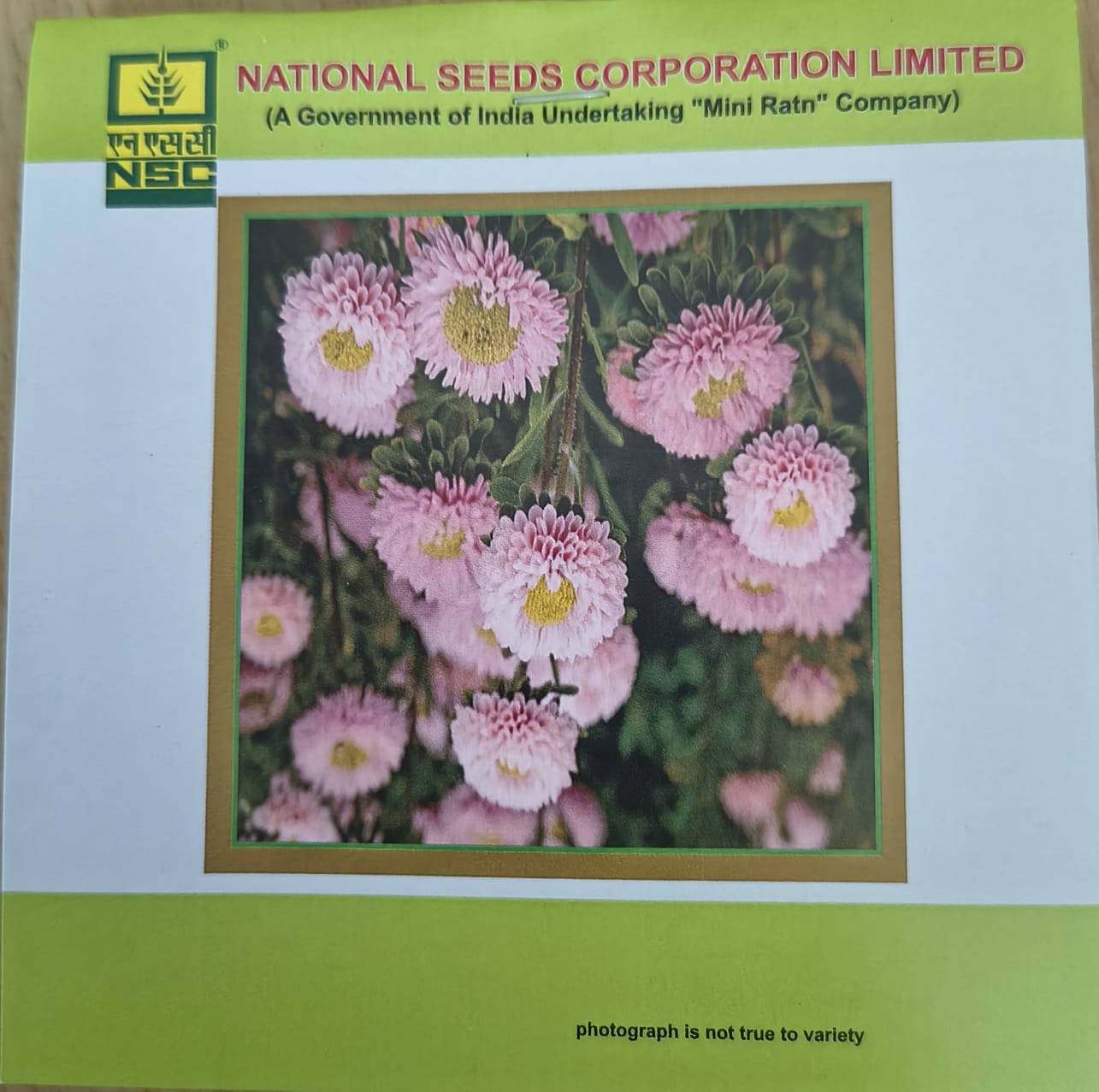 NSC Aster Pink Mix Flower Seed, 2 gm