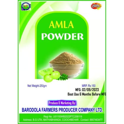 Amla Powder  - 250 gm