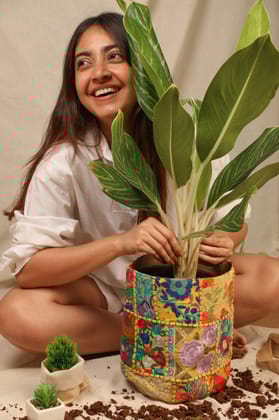 Clayey Pot Cover (Medium)
