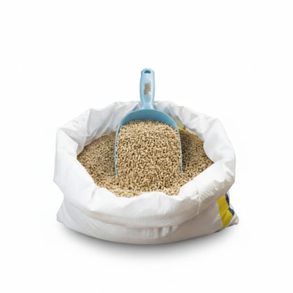 Premium Quality Wheat Grains - 10 kg - One 10kg sack