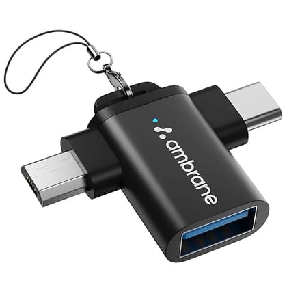 Ambrane 2 in 1 OTG