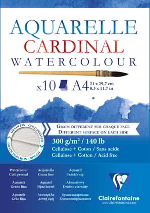 Clairefontaine Fine Art Cardinal Cellulose + Cotton 300g Paper-A4