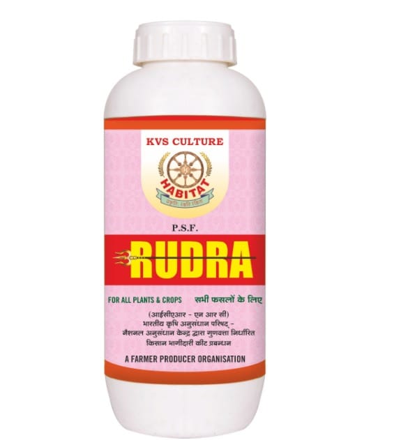 HT- RUDRA 500 ML
