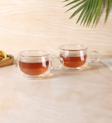 NATURALLYOURS GLASSWARES 250 ML Double Wall Glass (Set of 2)