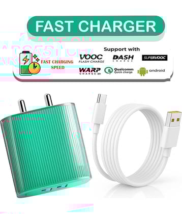 20W Fast USB-C Charger Adapter with Smart IC Chip | Quick Charge Compatible for All USB-C  Devices | Compact & Travel-Friendly Power Adapter for Efficient, Safe Charging Anywhere