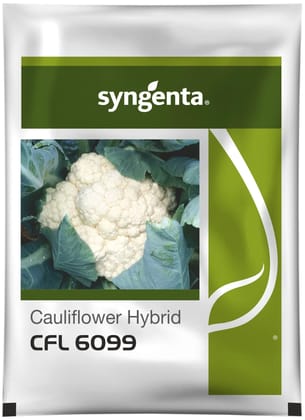 CFL-6099