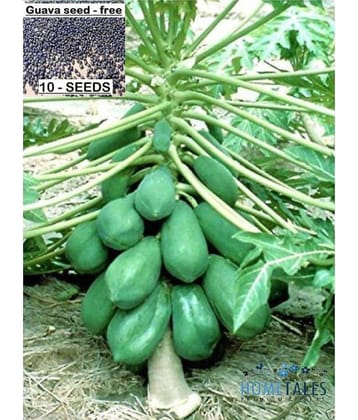 SarvaRetail Paudha PAPAYA Pure Seed ( Pack of 50 Seeds )